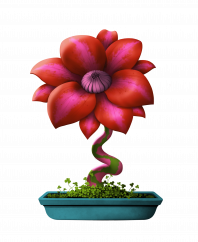 Flower #4617 (C)