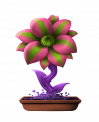 Flower #5355 (C)