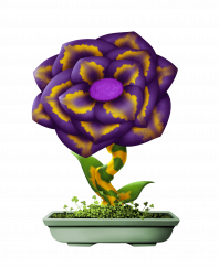 Flower #5929 (B)