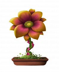 Flower #6096 (C)