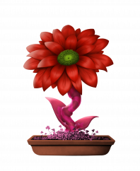 Flower #6197 (C)