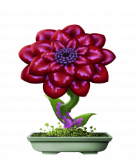 Flower #6382 (uR)
