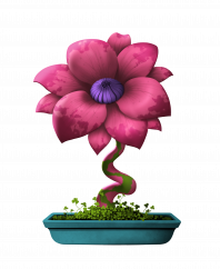 Flower #6383 (C)