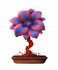 Flower #6594 (C)