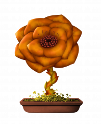 Flower #6662 (B)