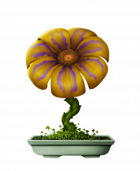 Flower #6771 (A)