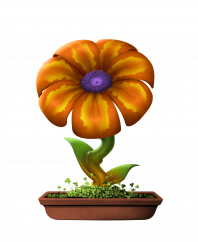 Flower #7983 (B)