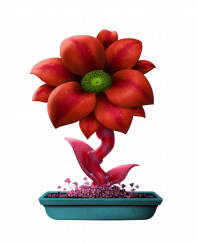 Flower #8335 (C)