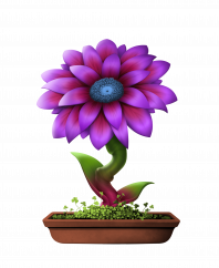Flower #8825 (C)