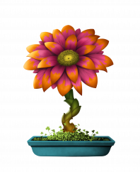 Flower #9086 (C)