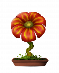 Flower #9916 (B)