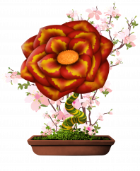 Flower #12905 (uR)