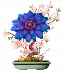 Flower #12987 (uR)