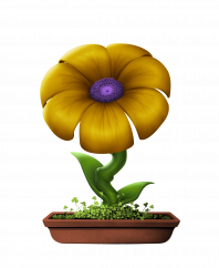 Flower preciata (C)