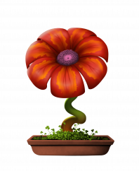 Flower #15642 (C)