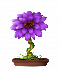 Flower #16442 (B)