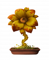 Flower #17384 (D)
