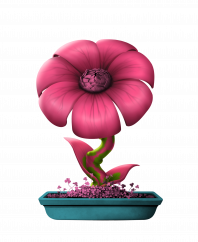 Flower #18003 (B)