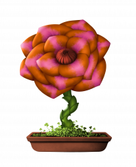 Flower #18352 (C)