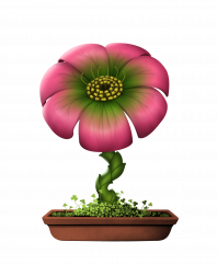 Flower #18506 (B)