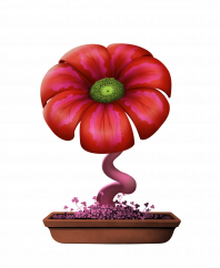 Flower #18660 (C)