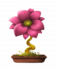 Flower #18672 (B)
