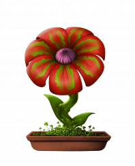 Flower #18995 (B)