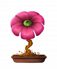 Flower #19005 (C)