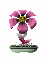 Flower #19221 (uR)