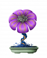 Flower #19518 (uR)