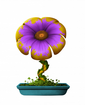 Flower #11354