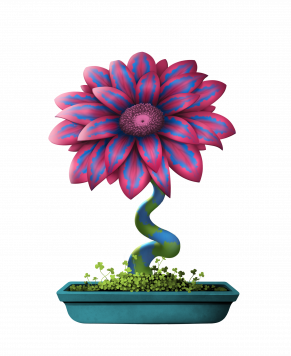 Flower #11558