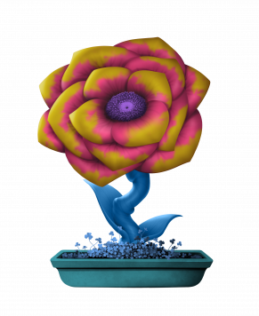 Flower #20795